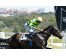  Carrera: P.Realeza Caballo: Abacur Monta: V.Janacek